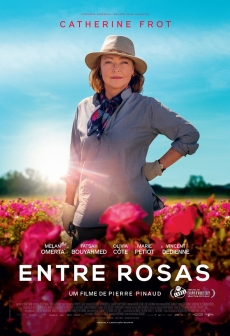 Entre Rosas poster