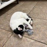 Ay8HHk