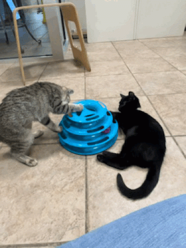 AypaJ9.gif
