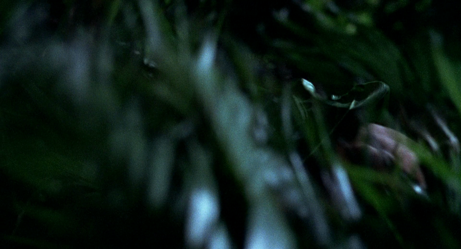Scene 4