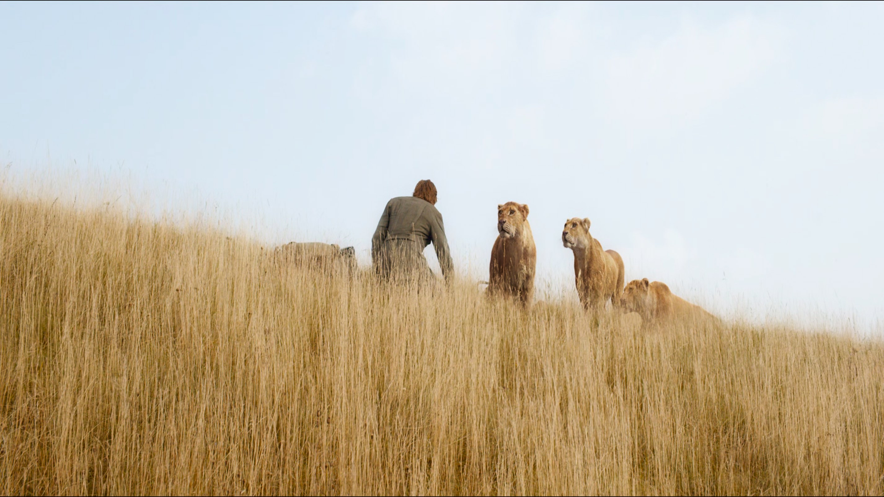 A Lenda de Tarzan 2016 cena 3