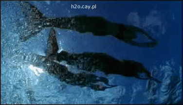 bAKkvS.gif