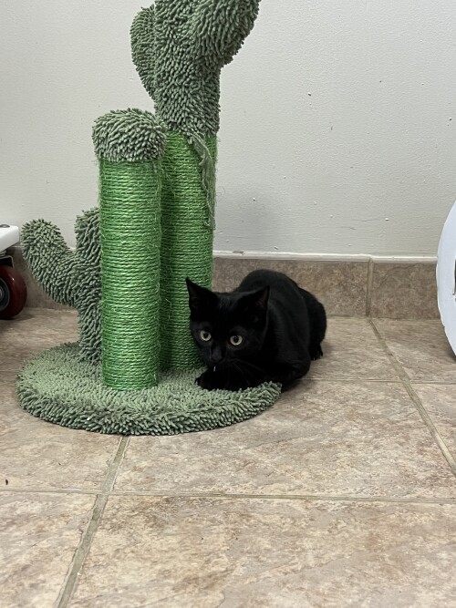 bZoLUa.jpeg