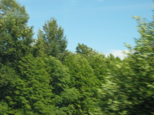 bb3WRm.jpg