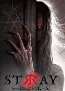 Download DStray Souls Torrent