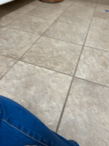 oYZvjN.gif