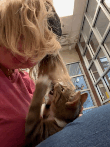 oim1rC.gif