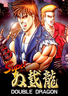 Download Super Double Dragon Torrent