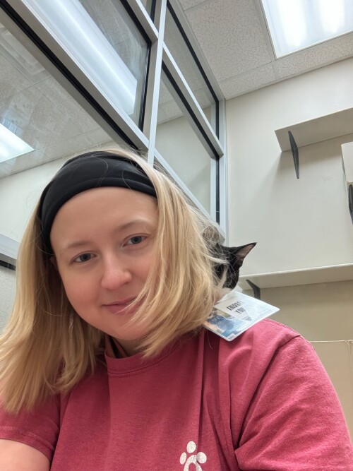 onN9GW.jpeg